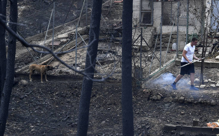 Φάμελλος: Προτεραιότητα η διαχείριση των τραυματιών και η εξυπηρέτηση των πολιτών