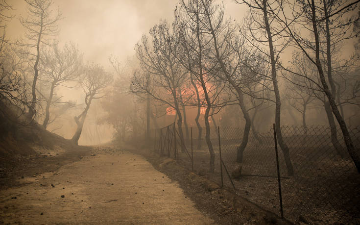 «Η φωτιά στην Κινέτα είναι από τα χειρότερα σενάρια που απευχόμασταν»