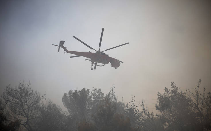 Πυρκαγιά στην περιοχή Δαφνιώτισσα Αμαλιάδας