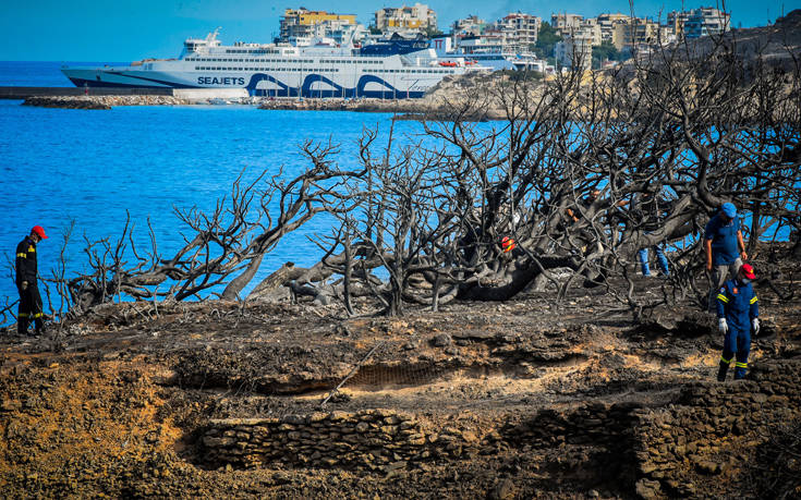 Ξεκίνησε η υλοτόμηση και απομάκρυνση των καμένων δένδρων στην Ανατολική Αττική