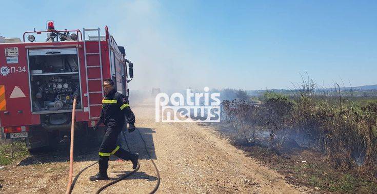 Υπό πλήρη έλεγχο η φωτιά στη Σπιάντζα Ηλείας