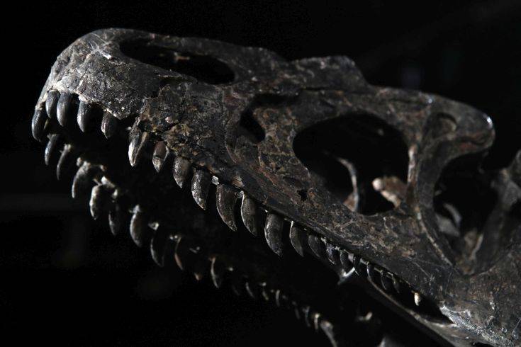 Ο γιγαντιαίος δεινόσαυρος που έζησε πριν από 200 εκατομμύρια χρόνια