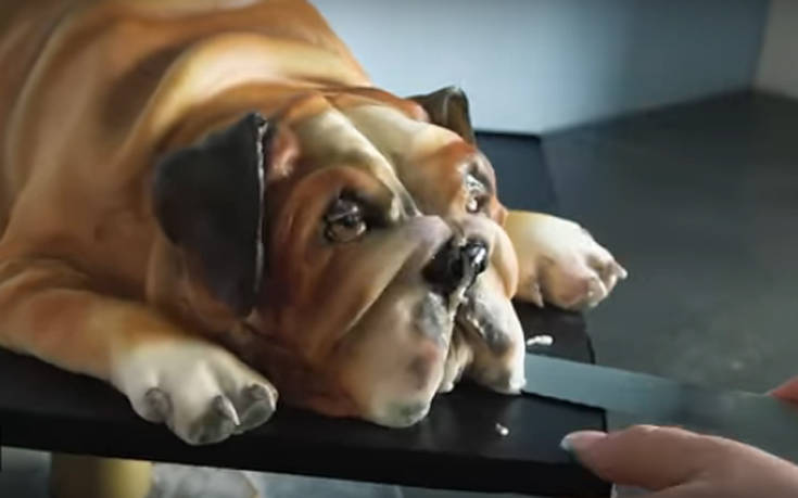 Δεν είναι ζώα, είναι τούρτες