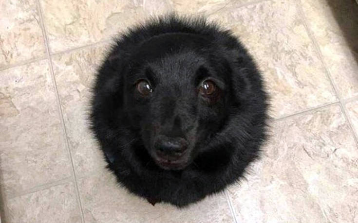 Εικόνες που βγάζουν αρμονία