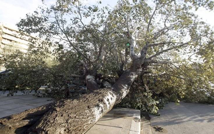 Ξεκίνησε η καταγραφή των ζημιών στα Τρίκαλα Ημαθίας μετά την ανεμοθύελλα