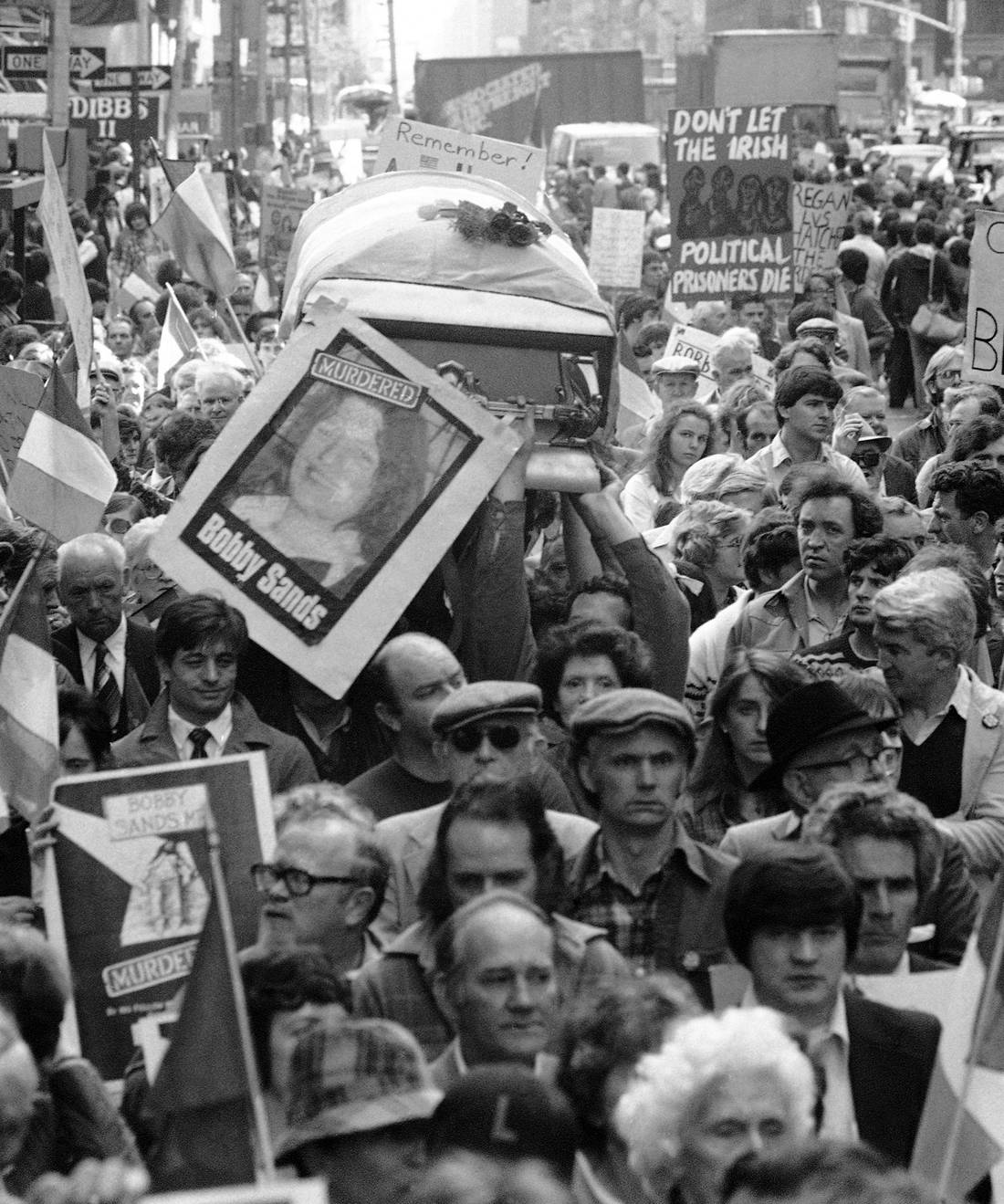 wknp_8105050226 wknp_8105050226