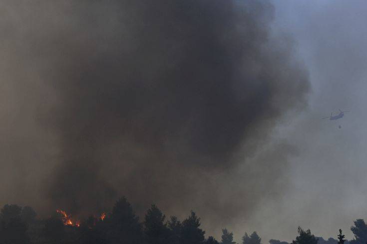 Συνεχής ενημέρωση Τσίπρα για την πυρκαγιά στην Εύβοια