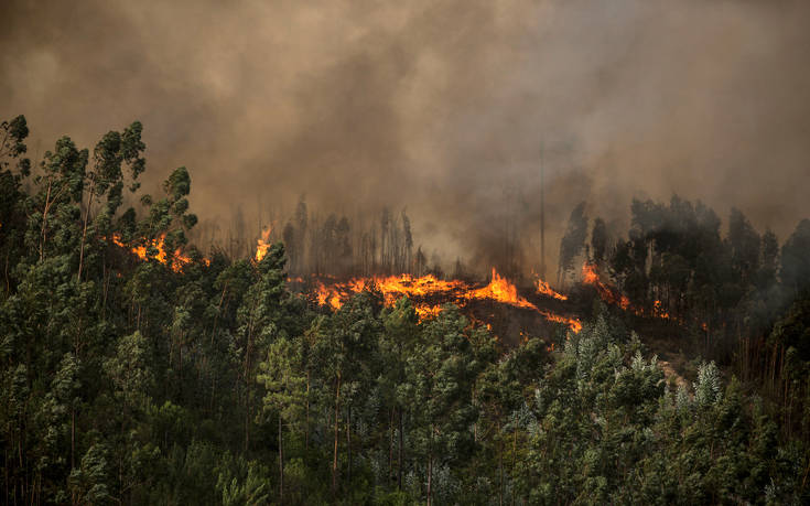 Πορτογαλία: Πάνω από 900 πυροσβέστες στη μάχη κατά των πυρκαγιών