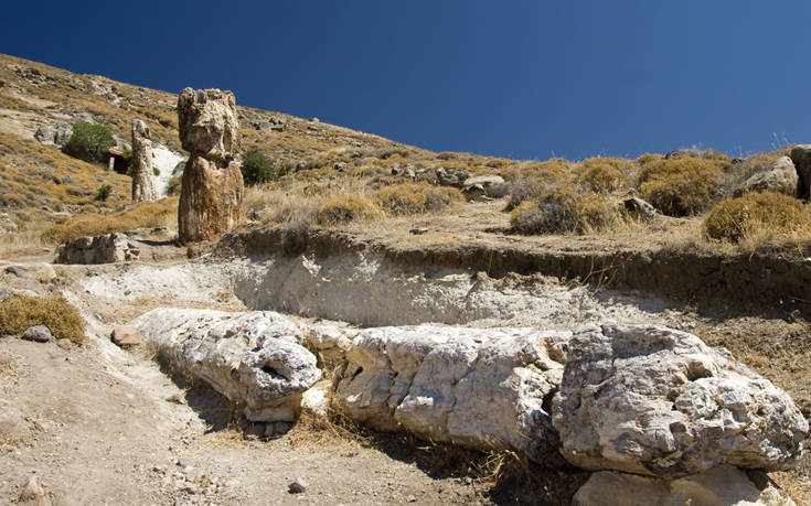 Συνελήφθη στο αεροδρόμιο Μυτιλήνης με τμήματα του απολιθωμένου δάσους