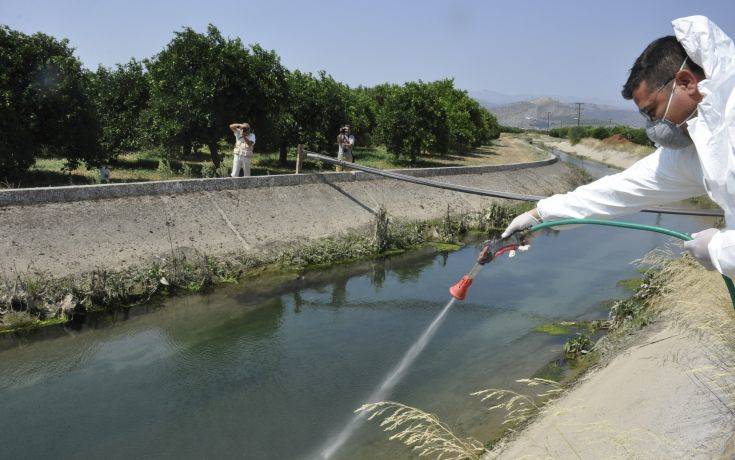 Ψεκασμούς για τα κουνούπια και στην Αττική ζητά η ΚΕΔΕ