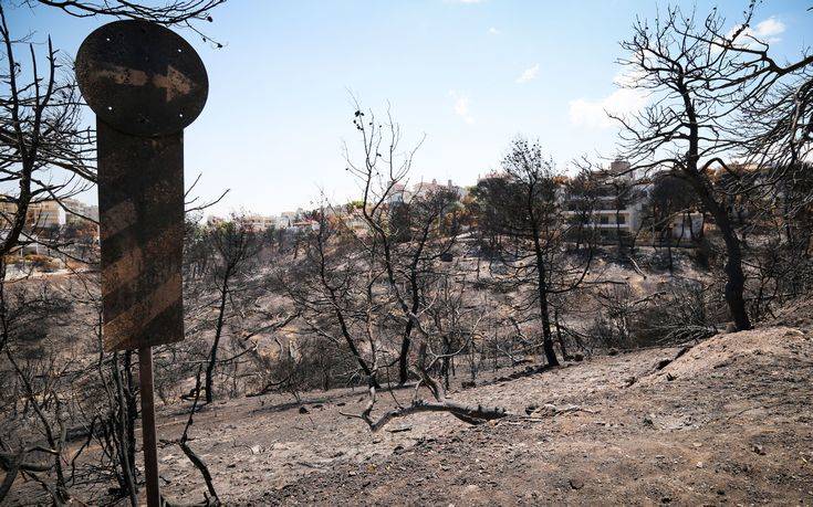 Στις 1.761 οι αιτήσεις πυρόπληκτων που υποβλήθηκαν τις τρεις πρώτες μέρες