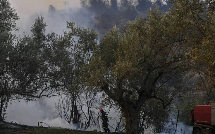 Τα ενεργά μέτωπα στη φωτιά στην Εύβοια