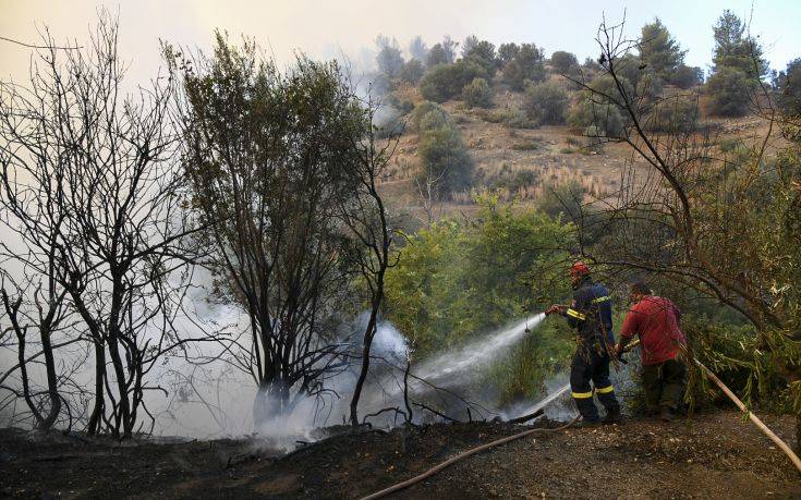 Φωτιά καίει χορτολιβαδική έκταση στην Ξυλόπολη Θεσσαλονίκης