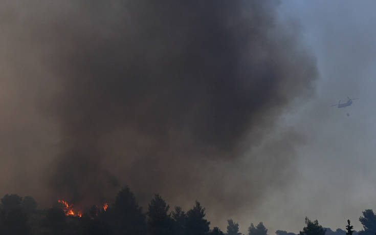 Πυρκαγιές καίνε περιοχές σε Εύβοια και Τύρναβο