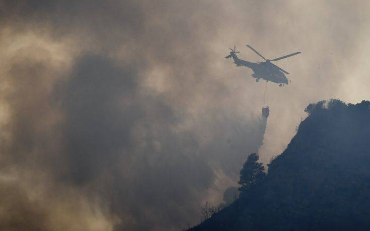 Σε ύφεση η πυρκαγιά στην Δαφνιώτισσα Ηλείας