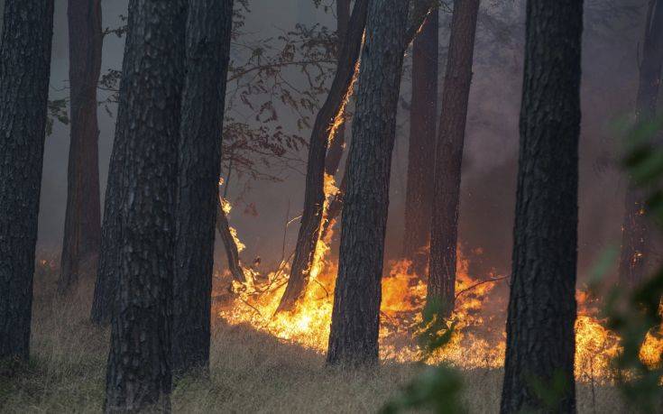 Σε επιφυλακή οι γερμανικές αρχές για τη μεγάλη πυρκαγιά στο Πότσνταμ