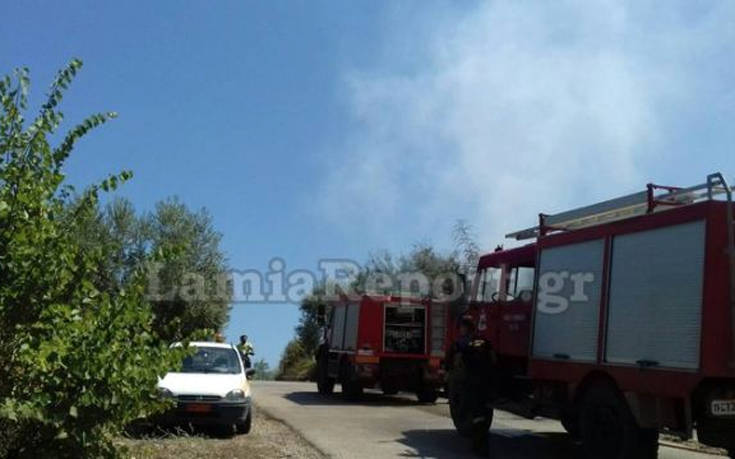 Ταυτόχρονη πυρκαγιά σε δύο σημεία στην Άγναντη Φθιώτιδας