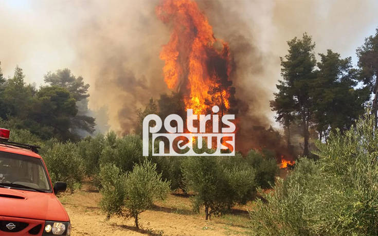 Απομακρύνεται η φωτιά από τον οικισμό στην Αμαλιάδα