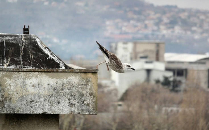 Φωτογραφίες τραβηγμένες την κατάλληλη στιγμή