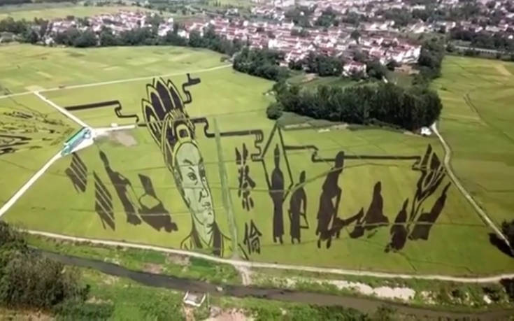 Χωράφια ρυζιού που μοιάζουν με πίνακες ζωγραφικής