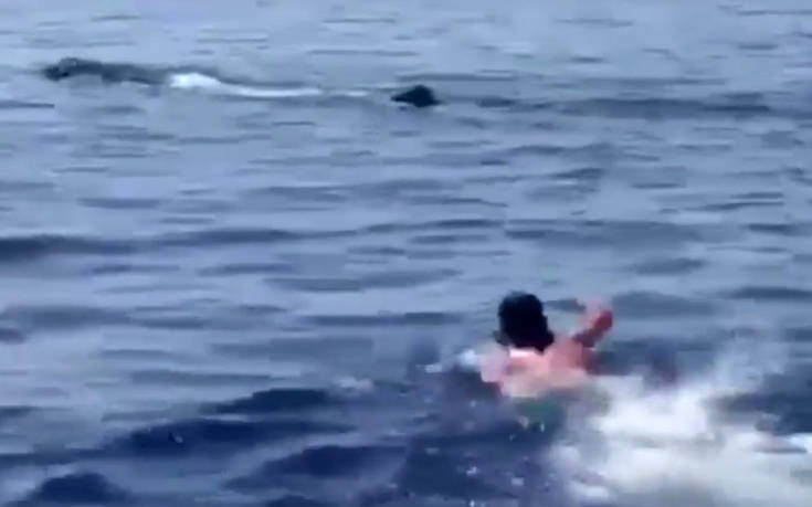 Κολύμπησε κοντά σε φάλαινα που εμφανίστηκε στην Κρήτη