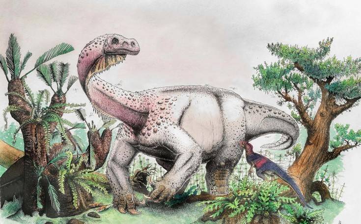 Ανακαλύφθηκε ένας νέος τεράστιος δεινόσαυρος στη Νότια Αφρική