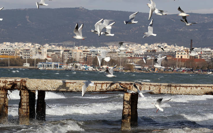 Απαγορευτικό απόπλου από τα λιμάνια του Πειραιά, της Ραφήνας και του Λαυρίου λόγω των ισχυρών ανέμων