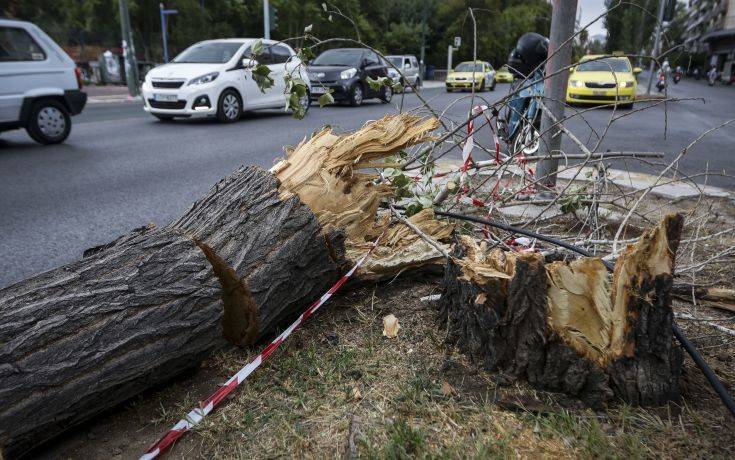 Πάνω από 330 κλήσεις στην πυροσβεστική για προβλήματα από την κακοκαιρία