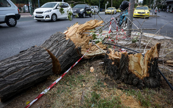 Προβλήματα και καταστροφές στην Πελοπόννησο από την κακοκαιρία