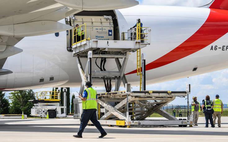 H Emirates SkyCargo μεταφέρει την πρώτη ομάδα αλόγων για τα FEI World Equestrian Games™ του Tryon 2018