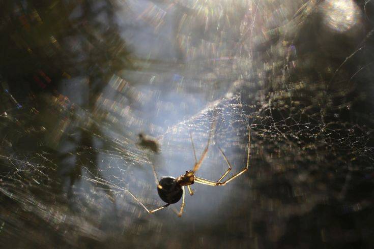 Το απόκοσμο παιδικό τραγουδάκι που έκανε εφιαλτικά τα βράδια μιας γυναίκας