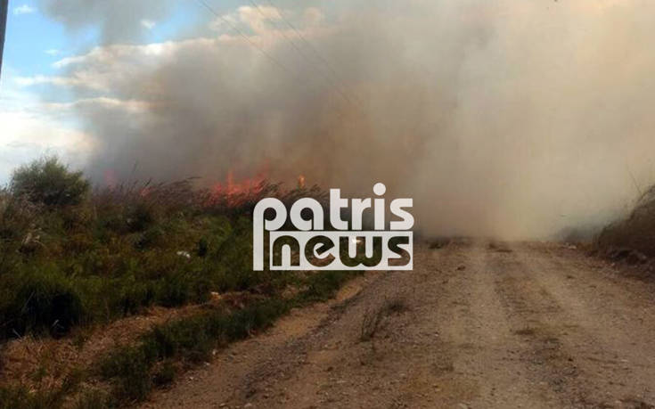 Μεγάλη φωτιά κοντά στον Πύργο Ηλείας