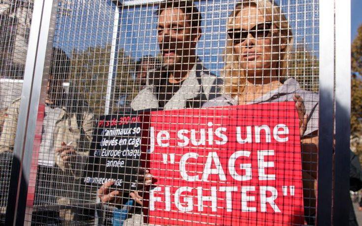 Η Πάμελα Άντερσον μπήκε σε «κλουβί» για να καταγγείλει τον βασανισμό των ζώων