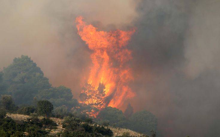 Η περιοχή που κάηκε στη Σιθωνία είναι προς πώληση εδώ και δέκα χρόνια