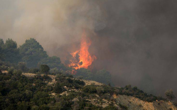 Φωτιά σε δασική έκταση στην Καστοριά