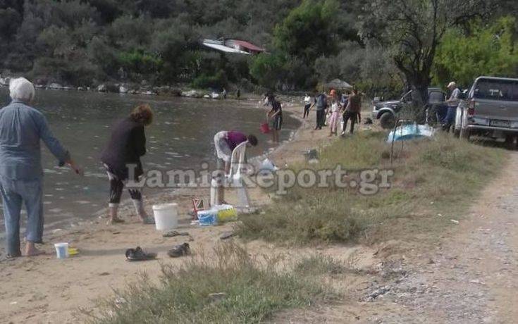 Γέμισε τσιπούρες η θάλασσα εξαιτίας του&#8230; «Ξενοφώντα»