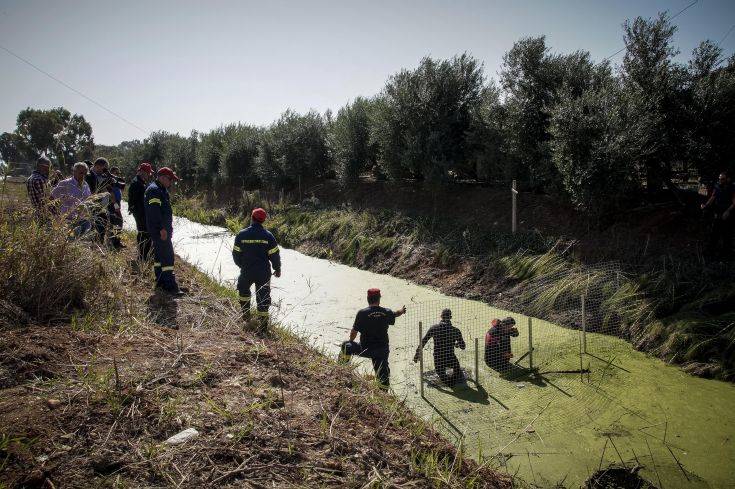 Νέο στοιχείο για το κρανίο στην Πρέβεζα και τη γυναίκα που πέθανε πριν από χρόνια