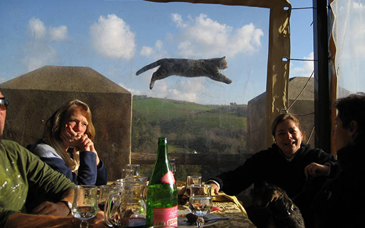 Τα photobombings έρχονται από εκεί που δεν τα περιμένεις