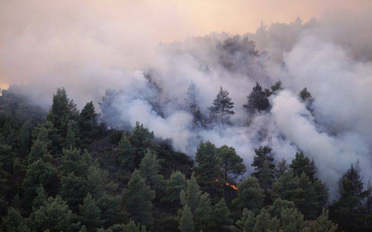 Ολονύχτια μάχη με τις φλόγες και καλύτερη εικόνα στη Σιθωνία