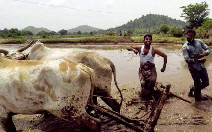 Kiki challenge με άρωμα&#8230; Ινδίας
