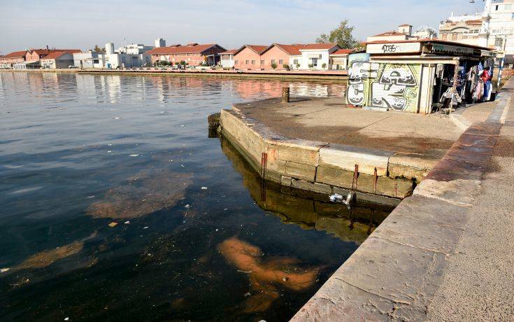 Τι είναι η «κόκκινη παλίρροια» στον Θερμαϊκό κόλπο