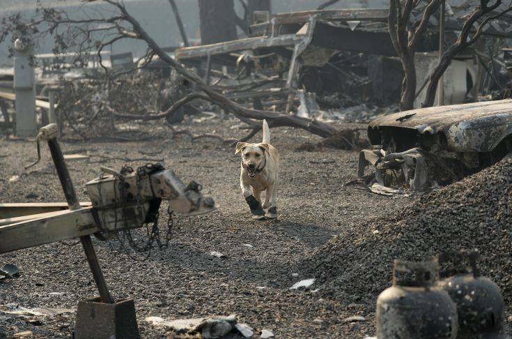 Τρομάζει ο αριθμός των αγνοουμένων από τη φονική πυρκαγιά στην Καλιφόρνια