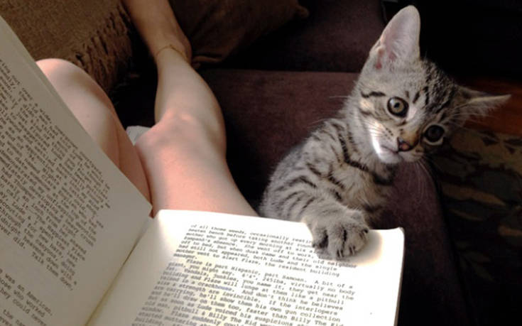 Όταν θες να διαβάσεις αλλά έχεις γάτα