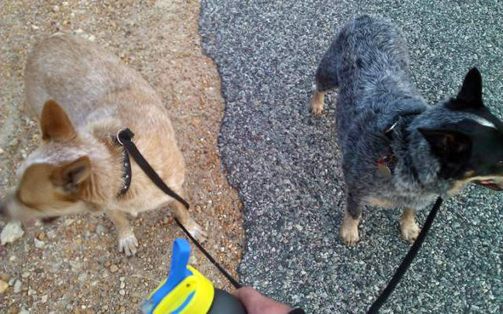 Συμπτώσεις που δε συναντάς συχνά