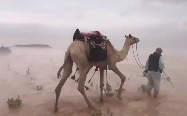 Έρημος μετατράπηκε σε βάλτο από την πολλή βροχή