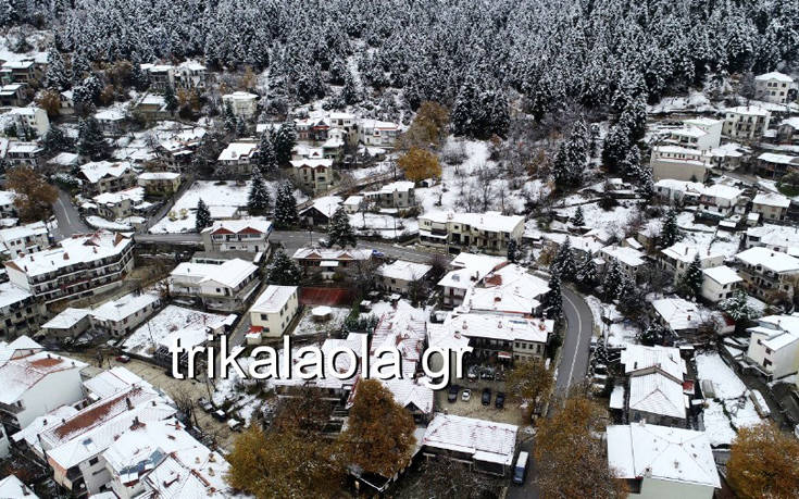 gfdggd | Lamianow.gr