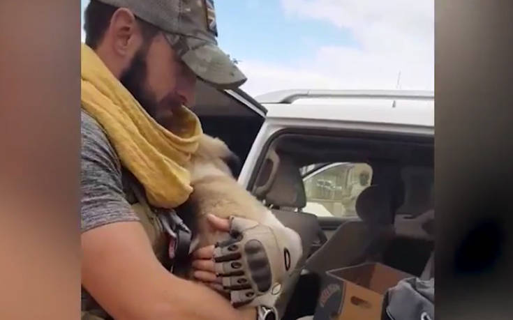 Στρατιώτης και σκύλος περνούν από πέντε χώρες, δύο πεδία μάχης και 5.000 χιλιόμετρα για να ξαναβρεθούν