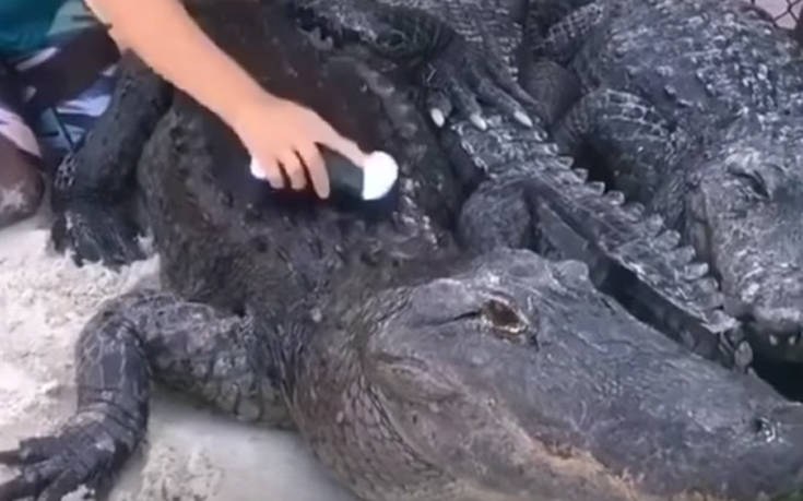 Σκηνές που νομίζεις ότι είναι βγαλμένες από ταινία