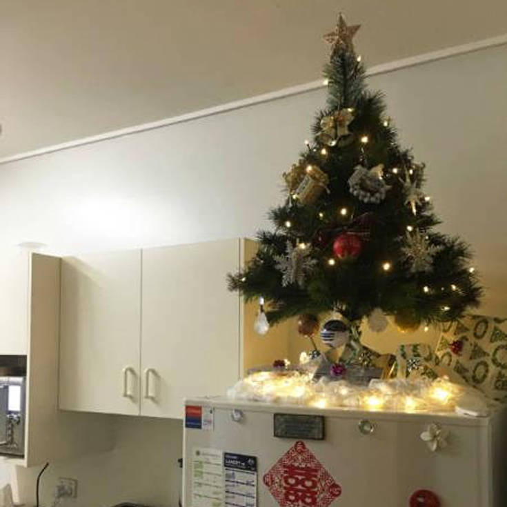 Χριστουγεννιάτικα δέντρα ειδικά για σπίτια με κατοικίδια