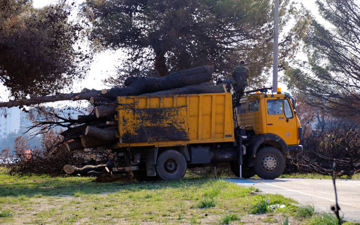 Σε εξέλιξη με γοργούς ρυθμούς το σημαντικό έργο που μεταμορφώνει τις περιοχές που κάηκαν το καλοκαίρι